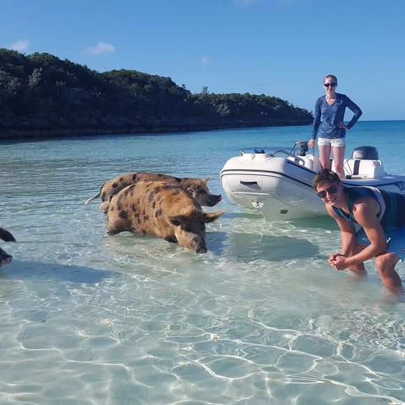 Meet your Posher, Forrest - Picture 1 of 1